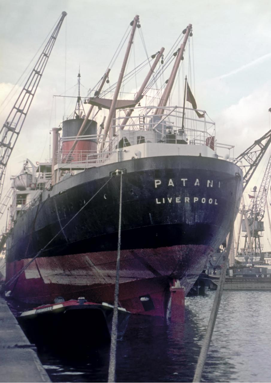 Shipping Today & Yesterday Preview Pages