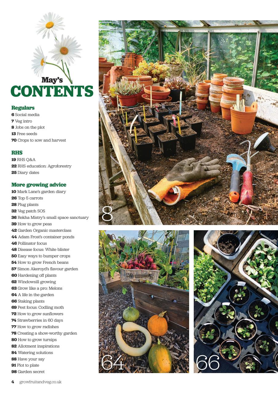 Grow Your Own Preview Pages