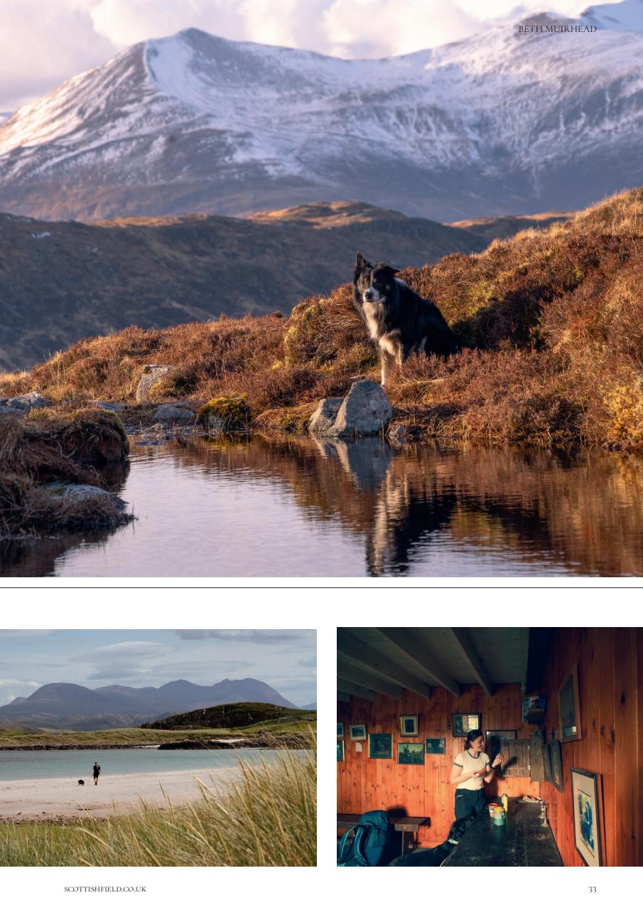 Scottish Field Preview Pages