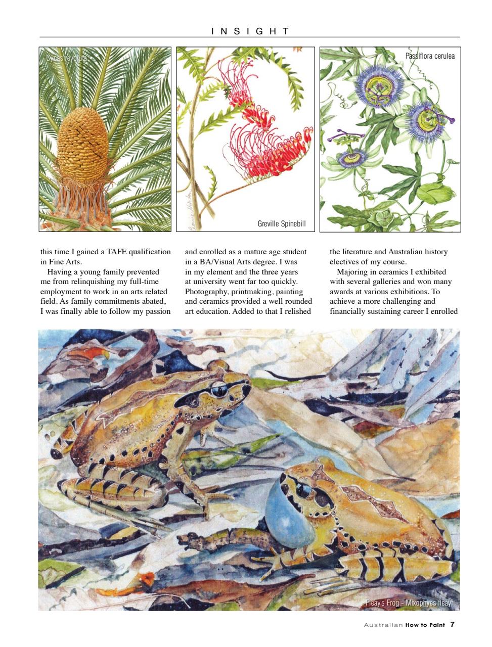 Australian How to Paint Preview Pages