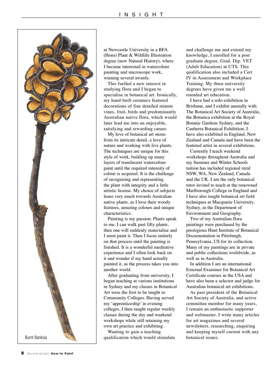 Australian How to Paint Preview Pages