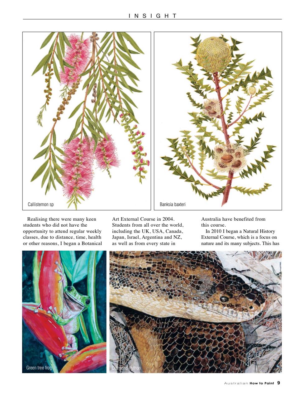 Australian How to Paint Preview Pages