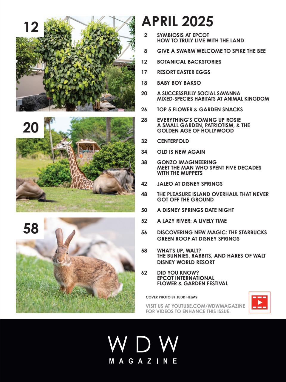 WDW Magazine Preview Pages