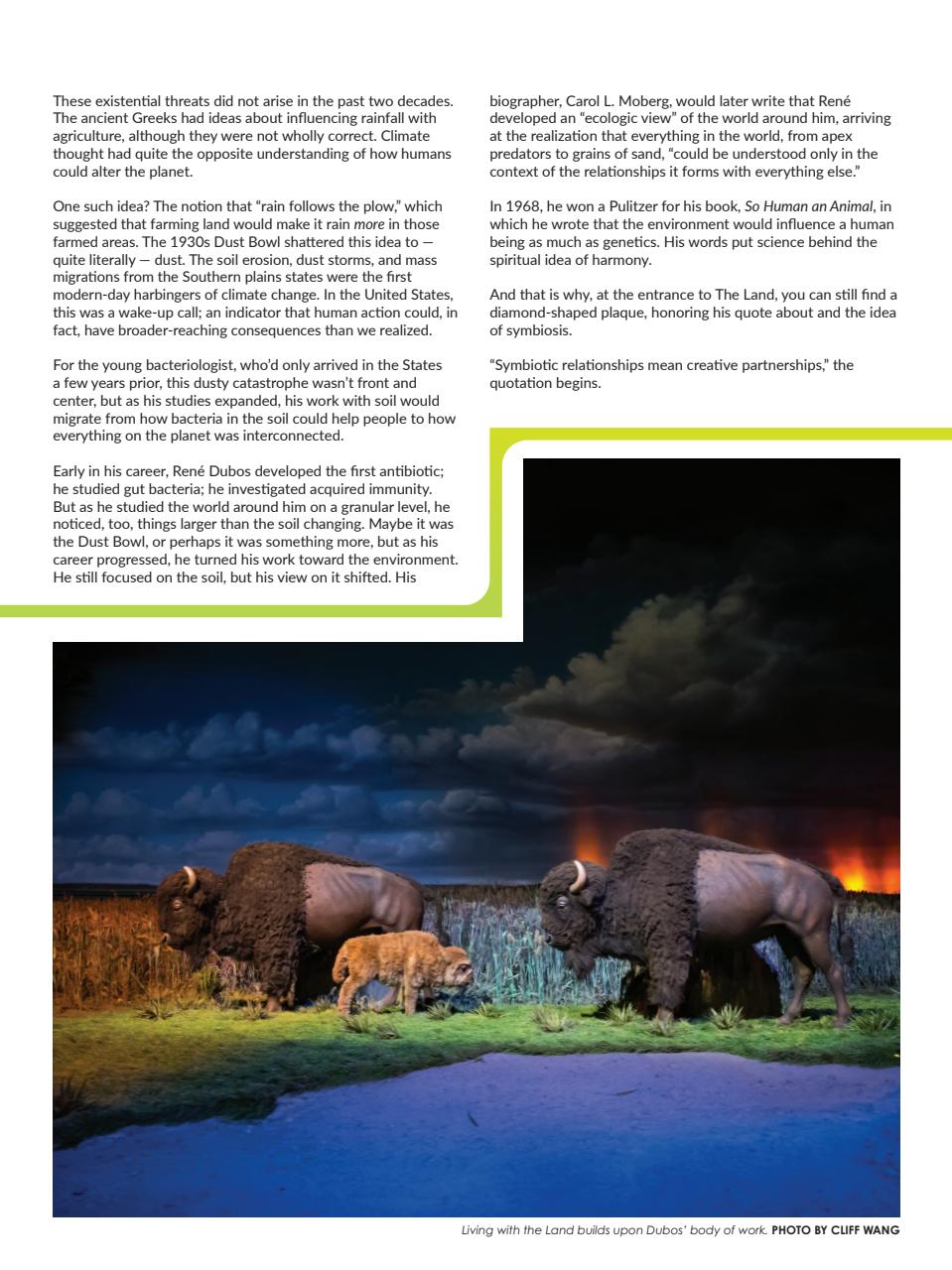 WDW Magazine Preview Pages