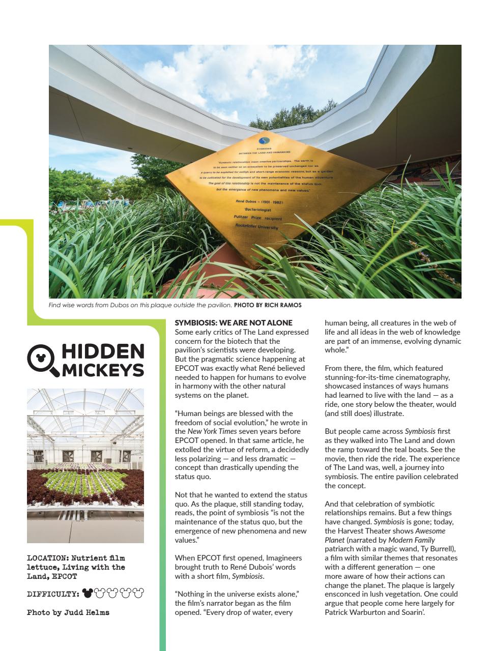 WDW Magazine Preview Pages