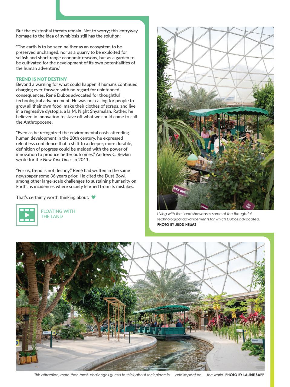 WDW Magazine Preview Pages