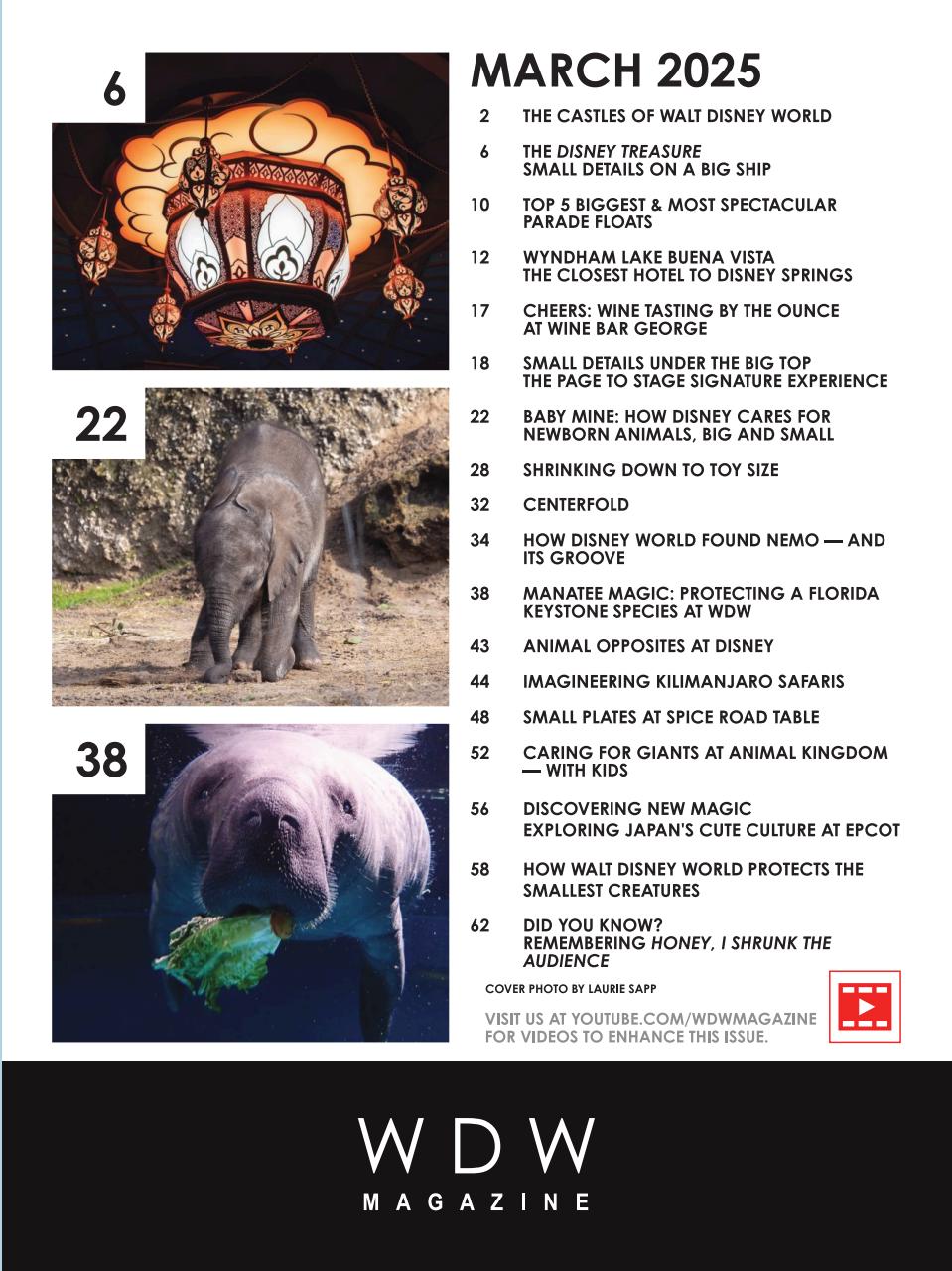 WDW Magazine Preview Pages