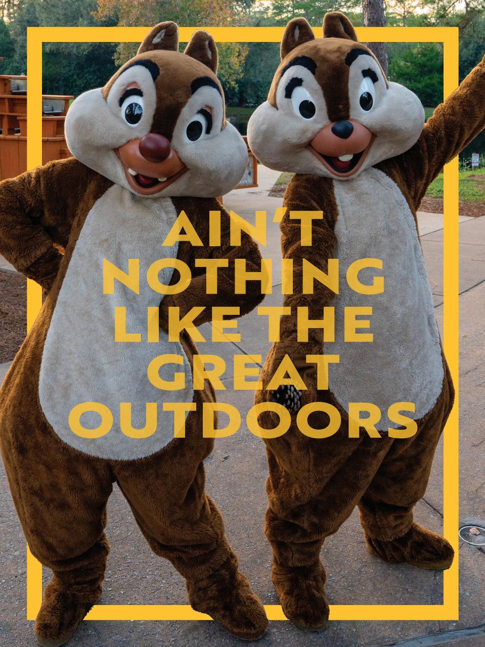 WDW Magazine Preview Pages