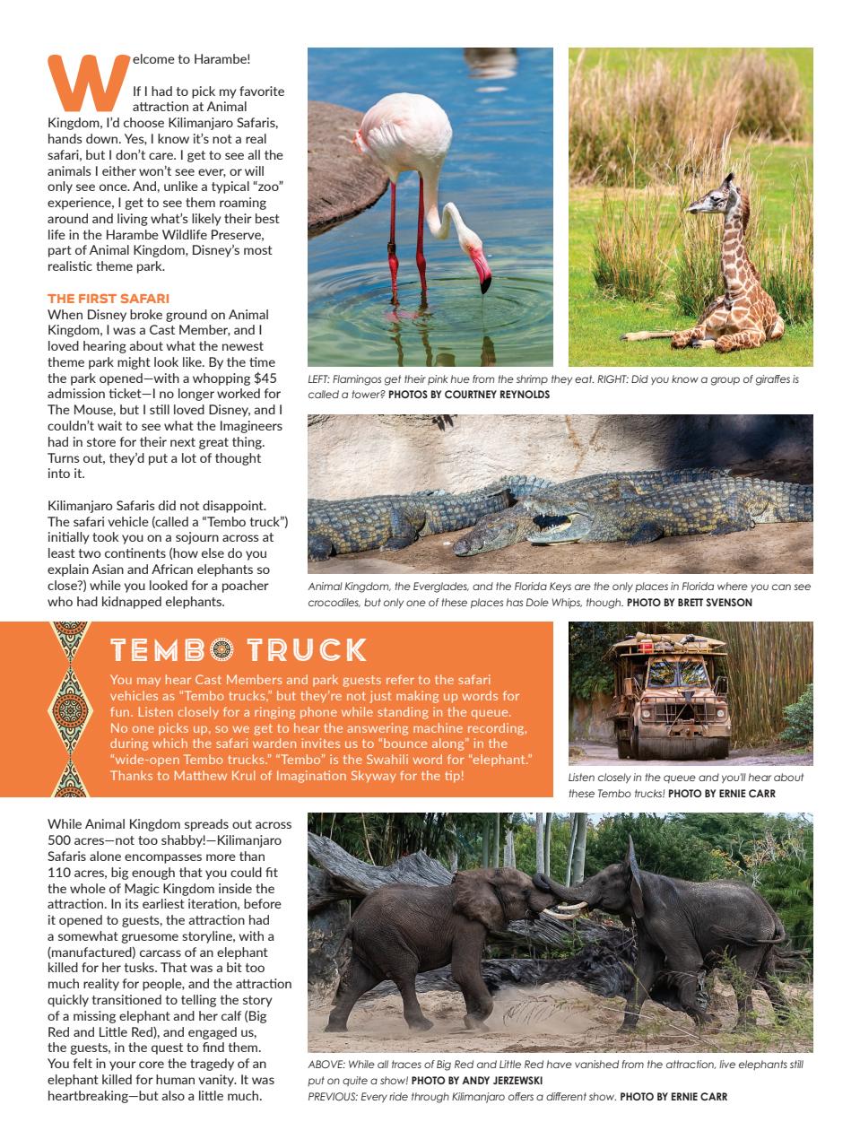 WDW Magazine Preview Pages