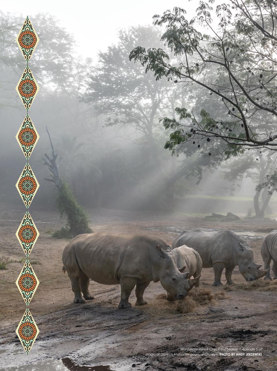 WDW Magazine Preview Pages