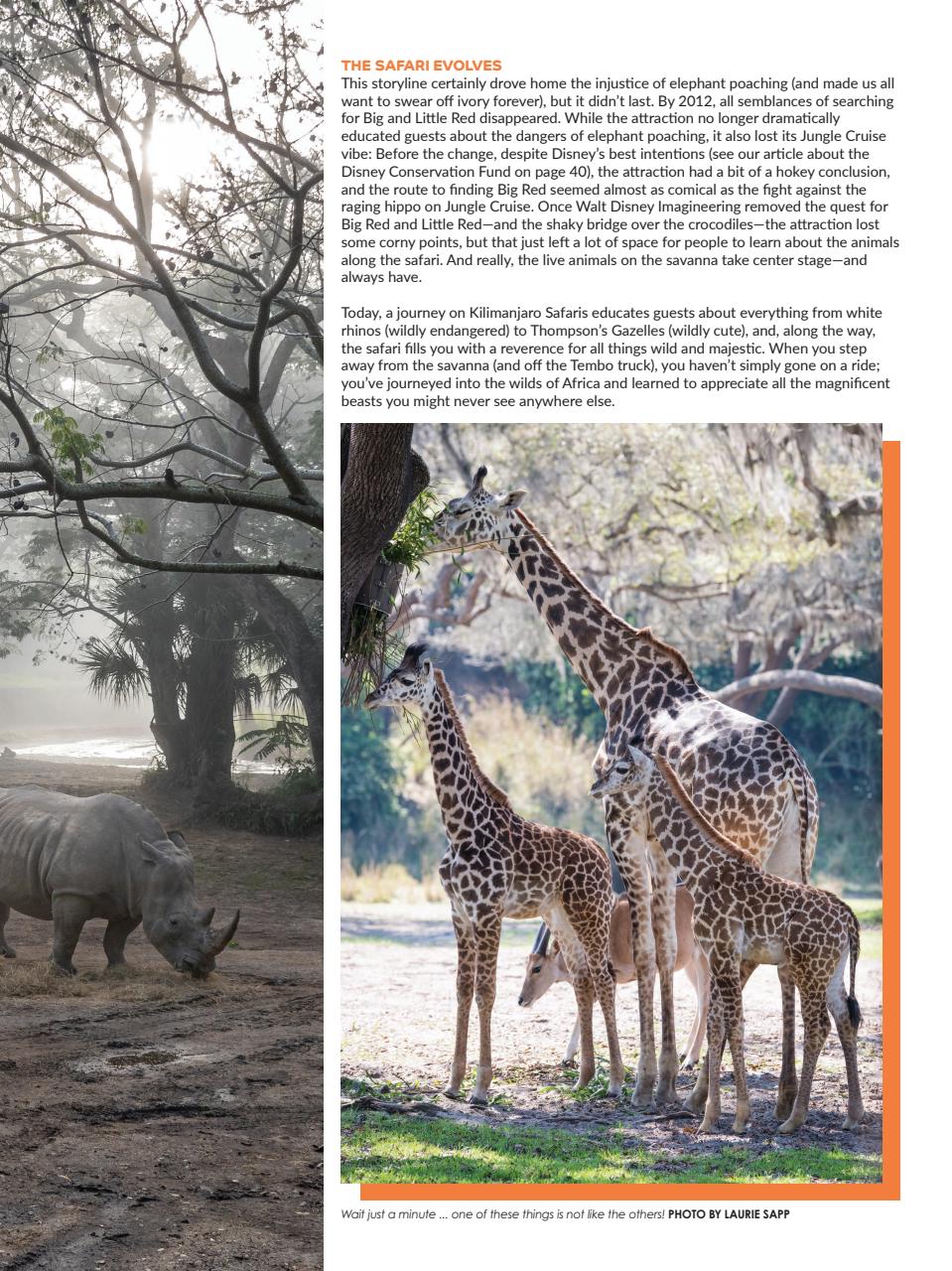 WDW Magazine Preview Pages