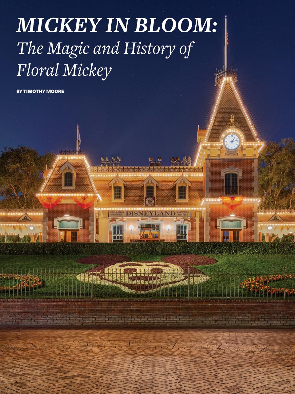 WDW Magazine Preview Pages