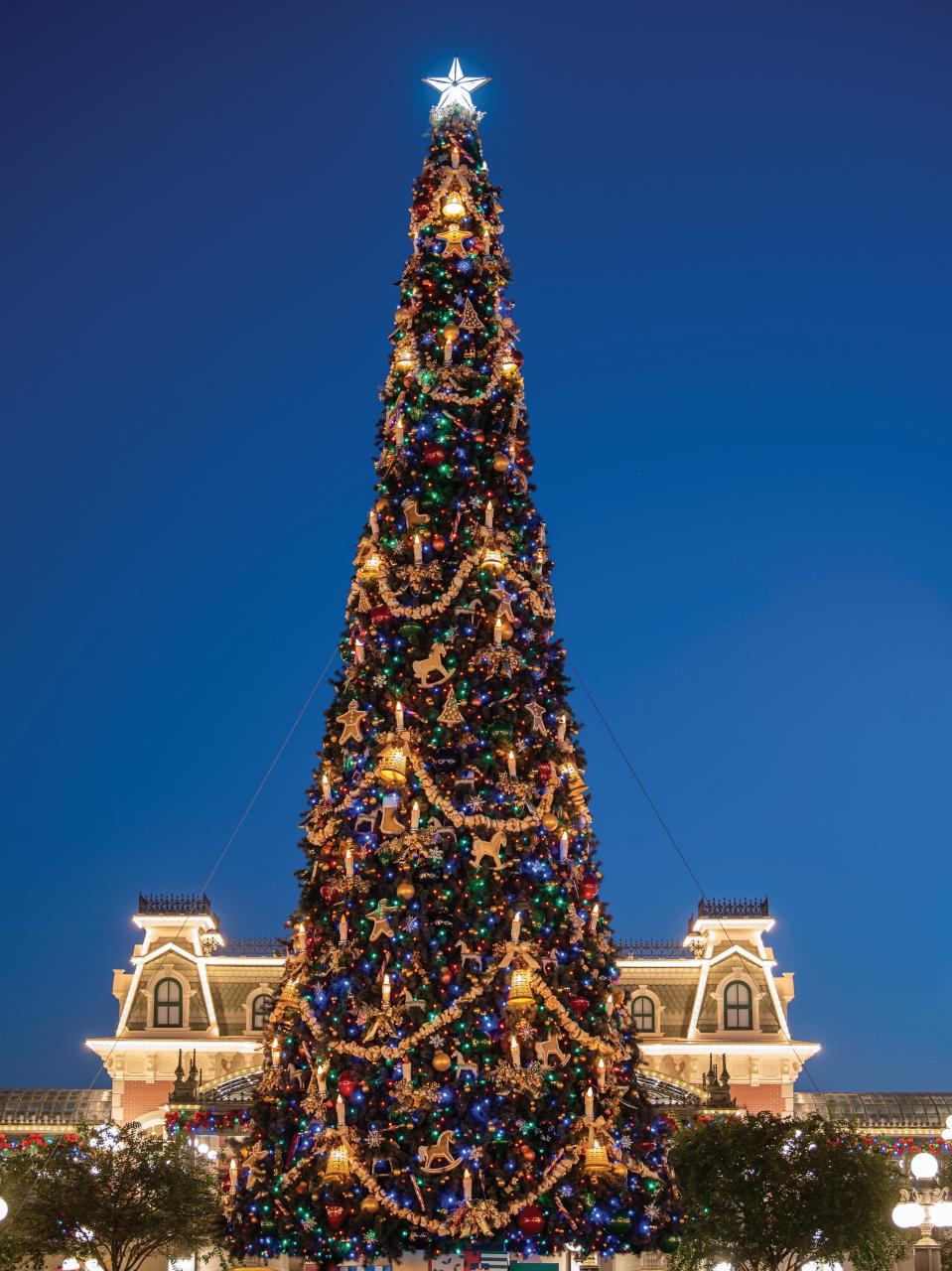 WDW Magazine Preview Pages