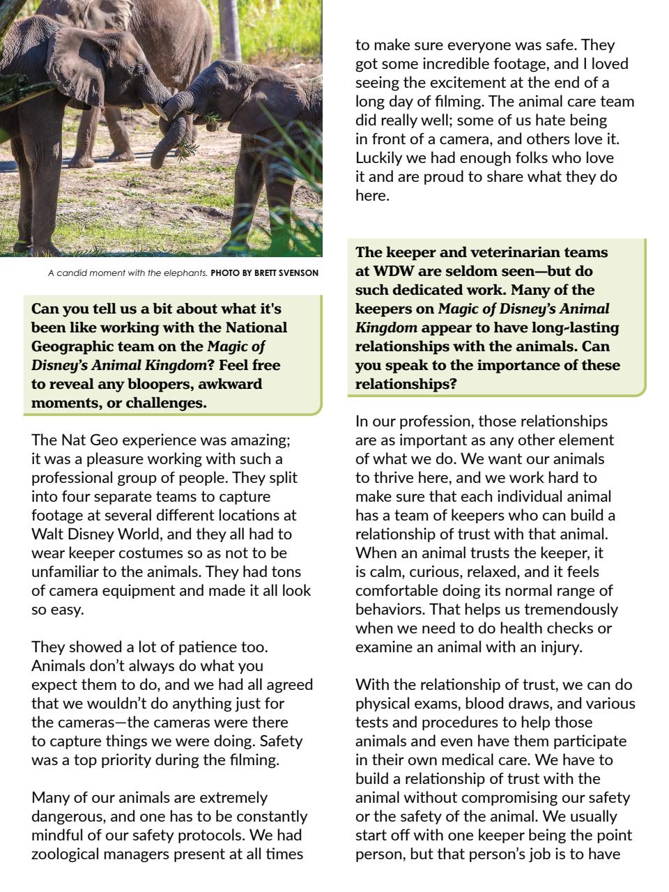 WDW Magazine Preview Pages