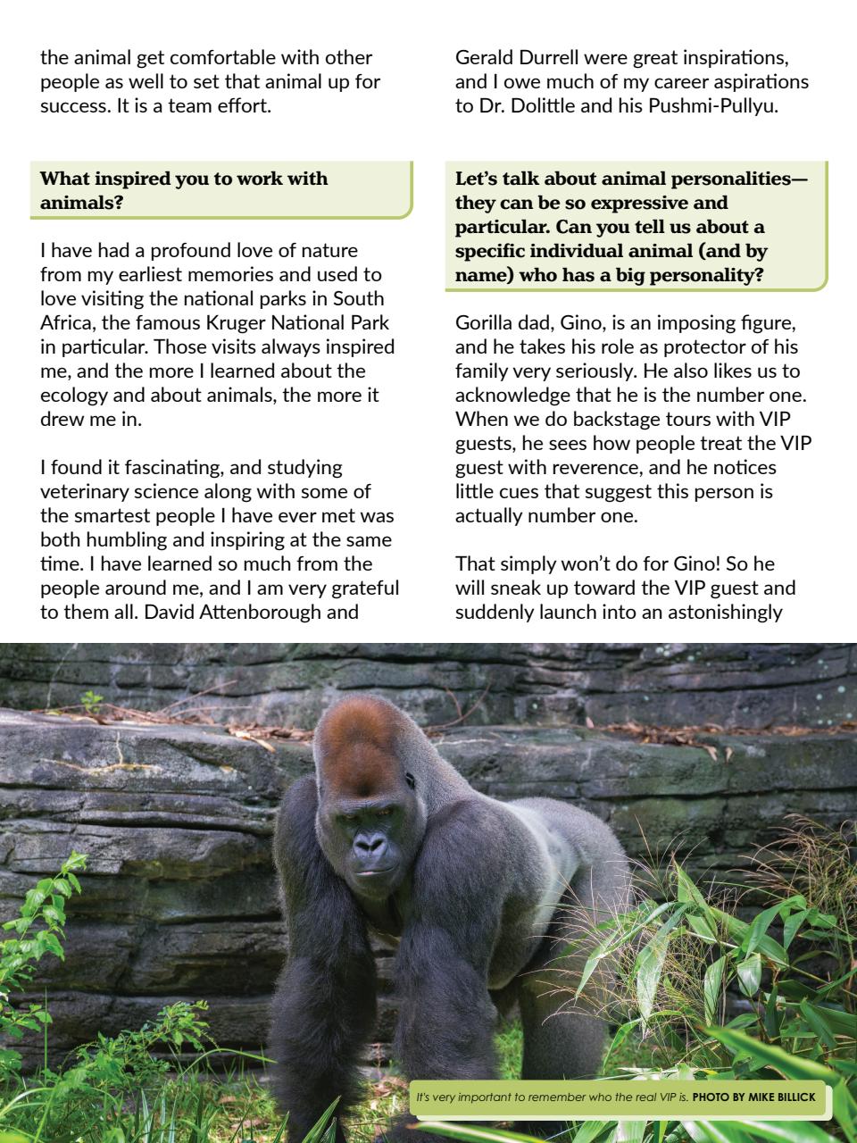 WDW Magazine Preview Pages