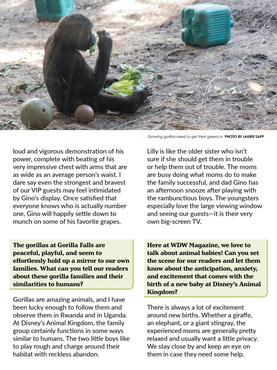 WDW Magazine Preview Pages