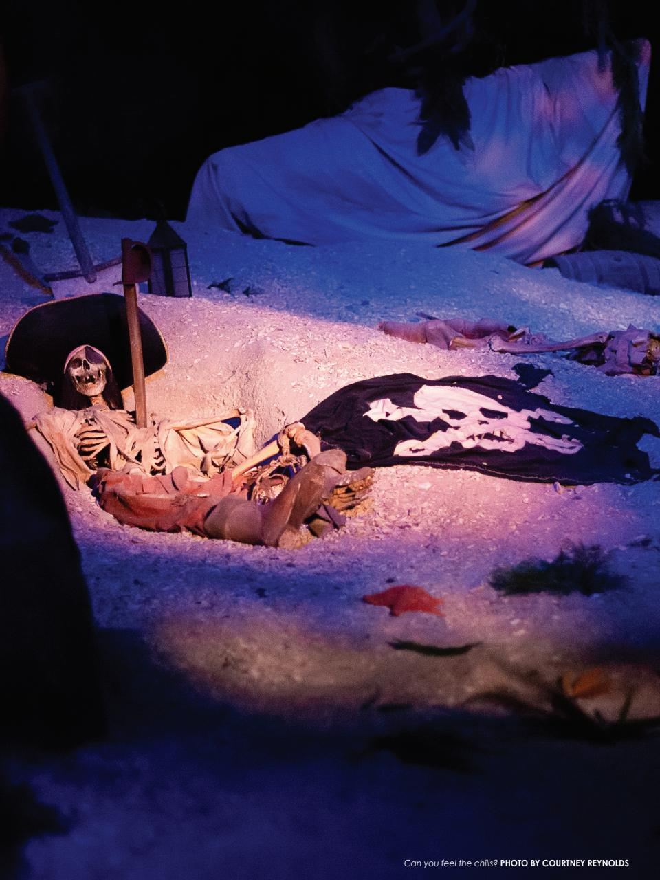 WDW Magazine Preview Pages