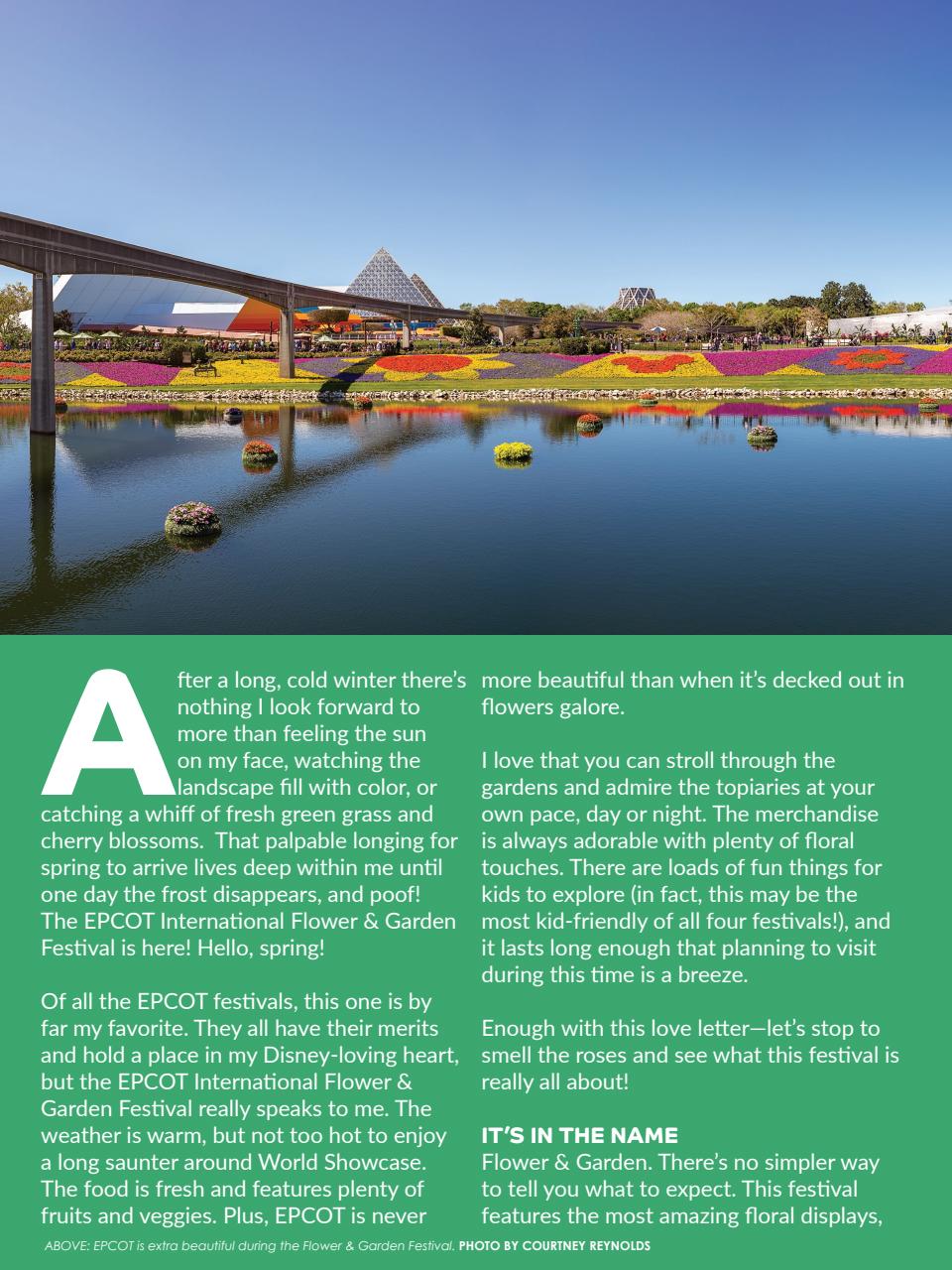 WDW Magazine Preview Pages