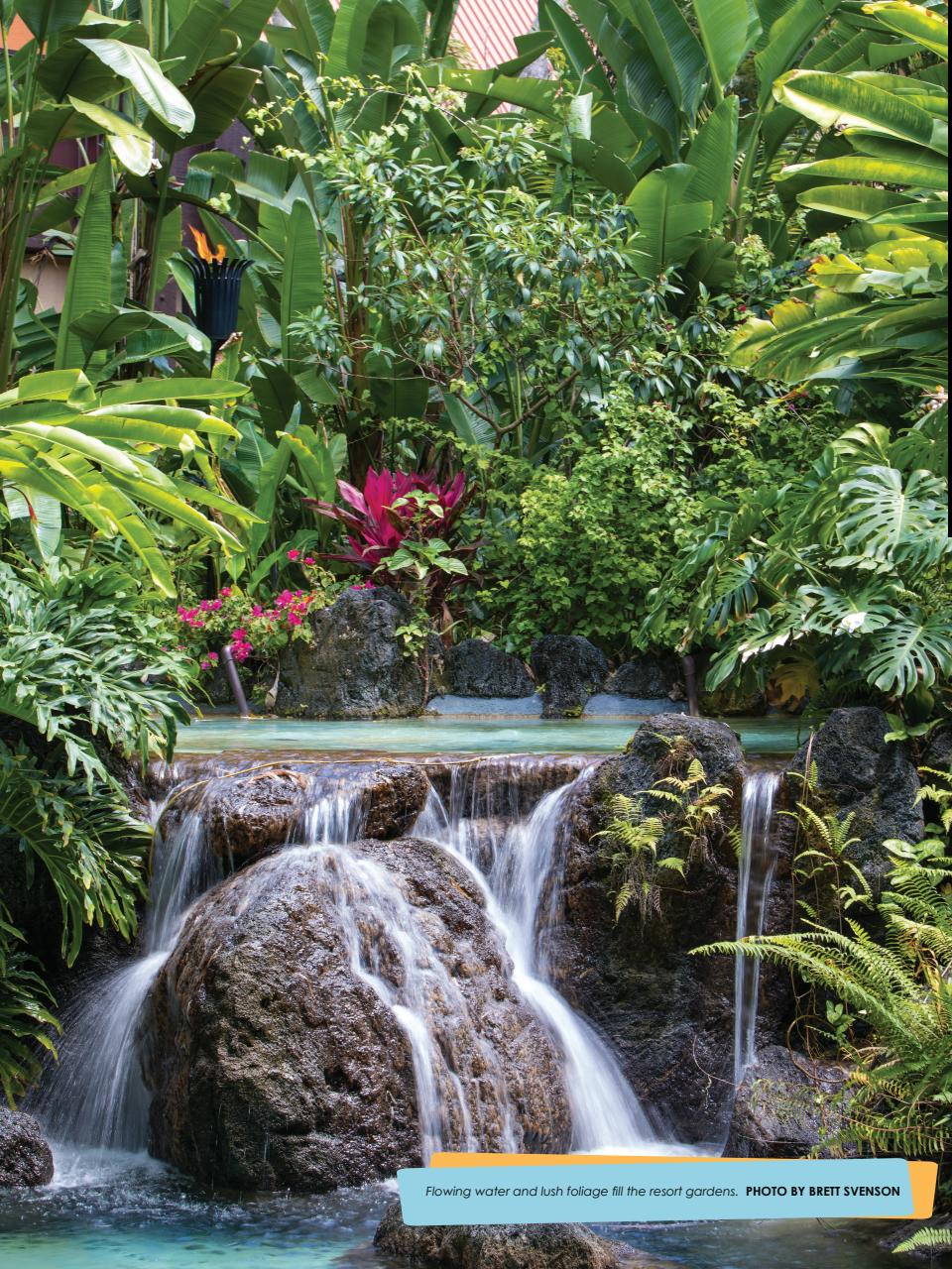 WDW Magazine Preview Pages