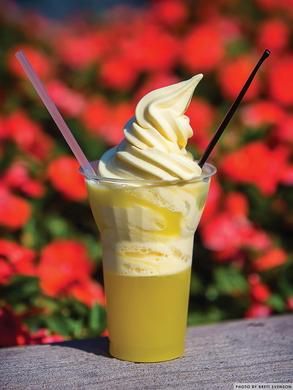 WDW Magazine Preview Pages