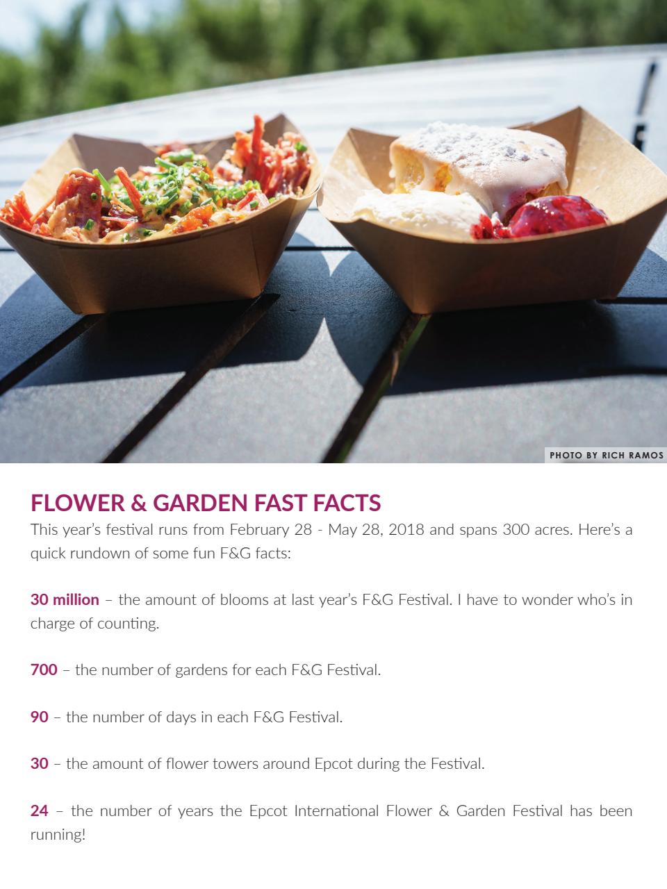 WDW Magazine Preview Pages