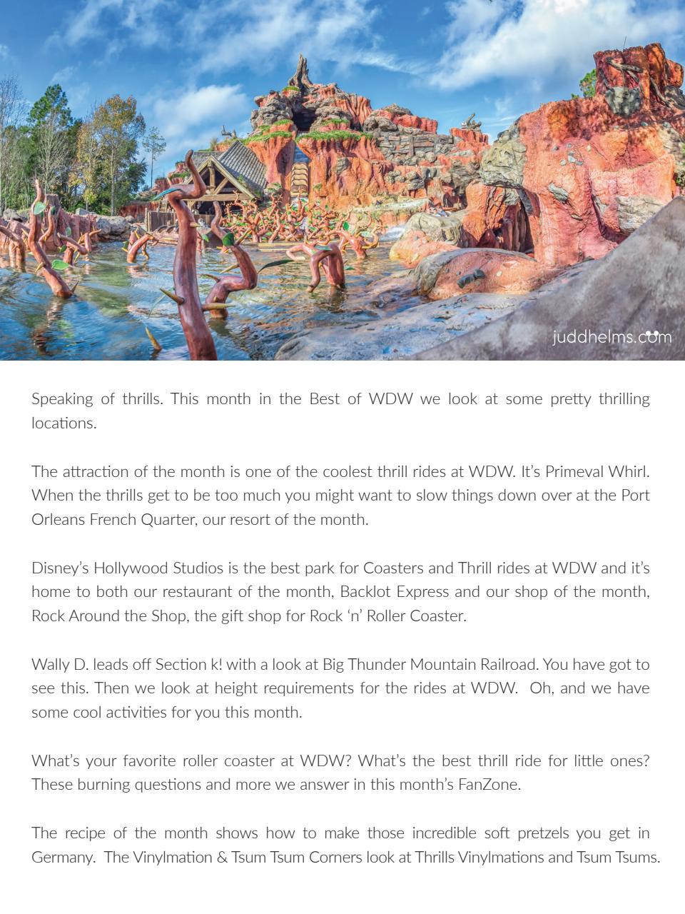 WDW Magazine Preview Pages