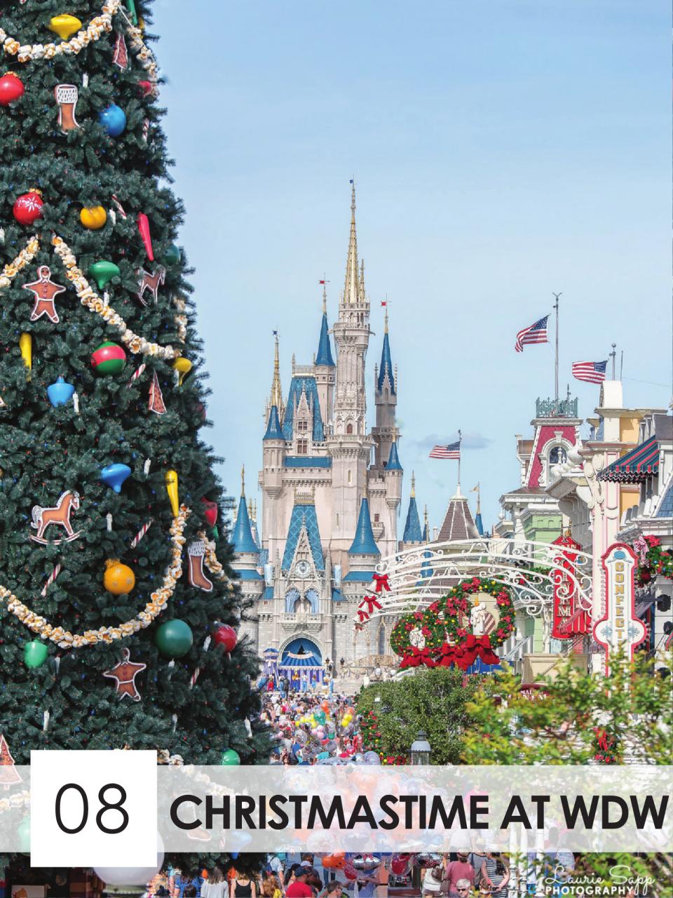 WDW Magazine Preview Pages