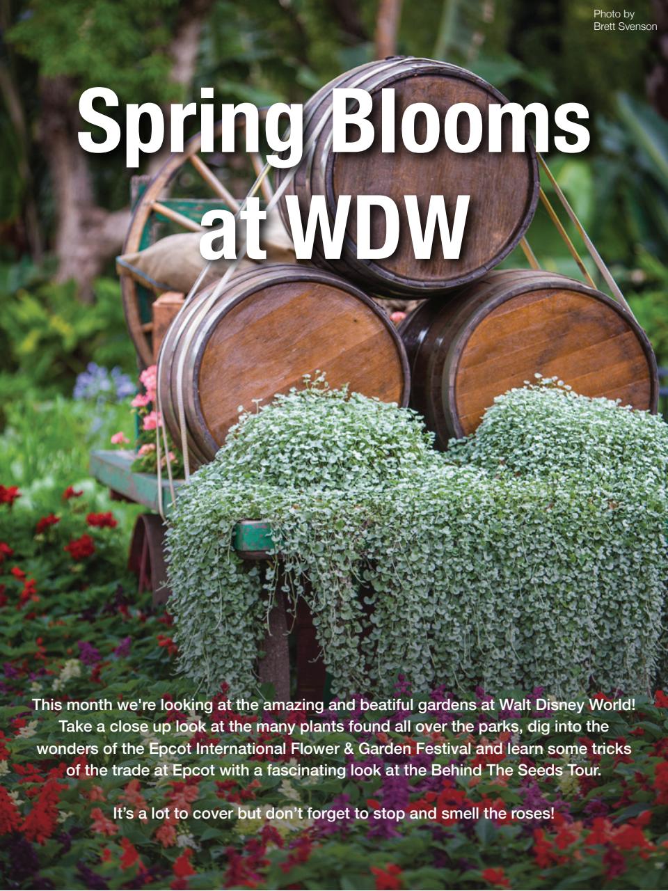 WDW Magazine Preview Pages