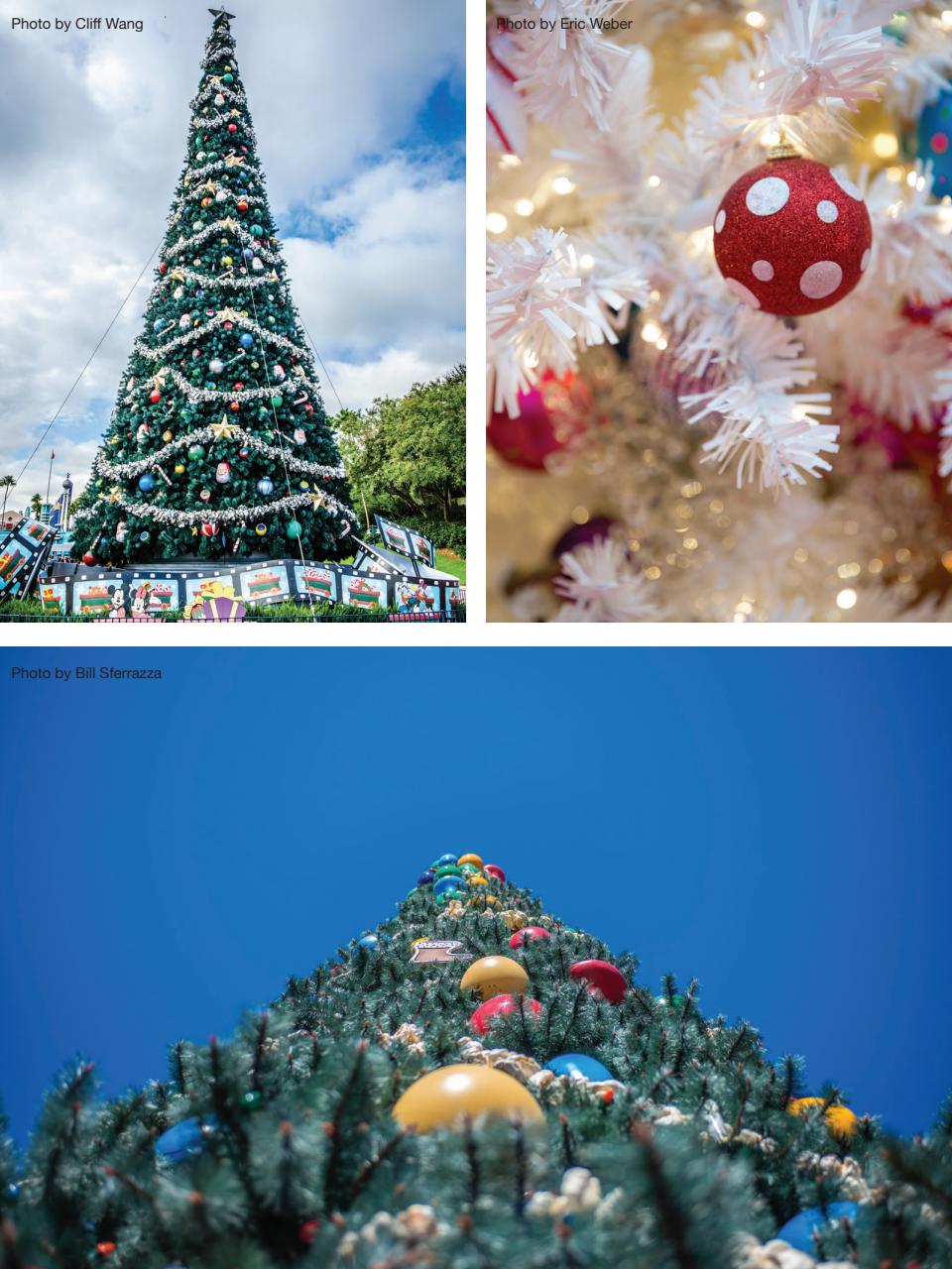 WDW Magazine Preview Pages