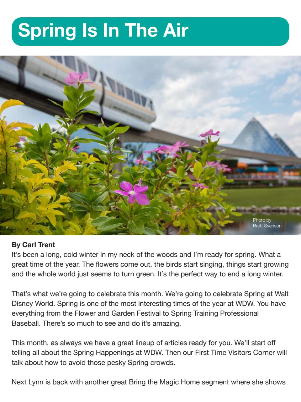 WDW Magazine Preview Pages