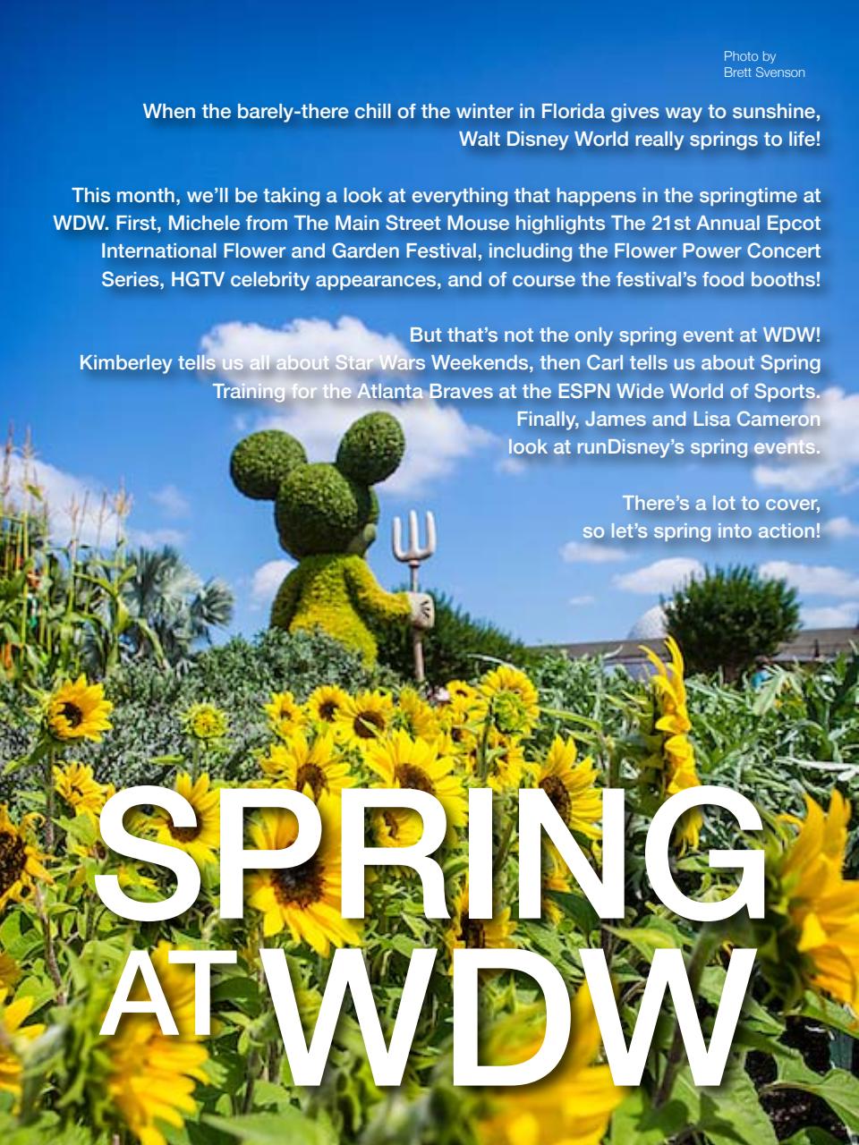 WDW Magazine Preview Pages