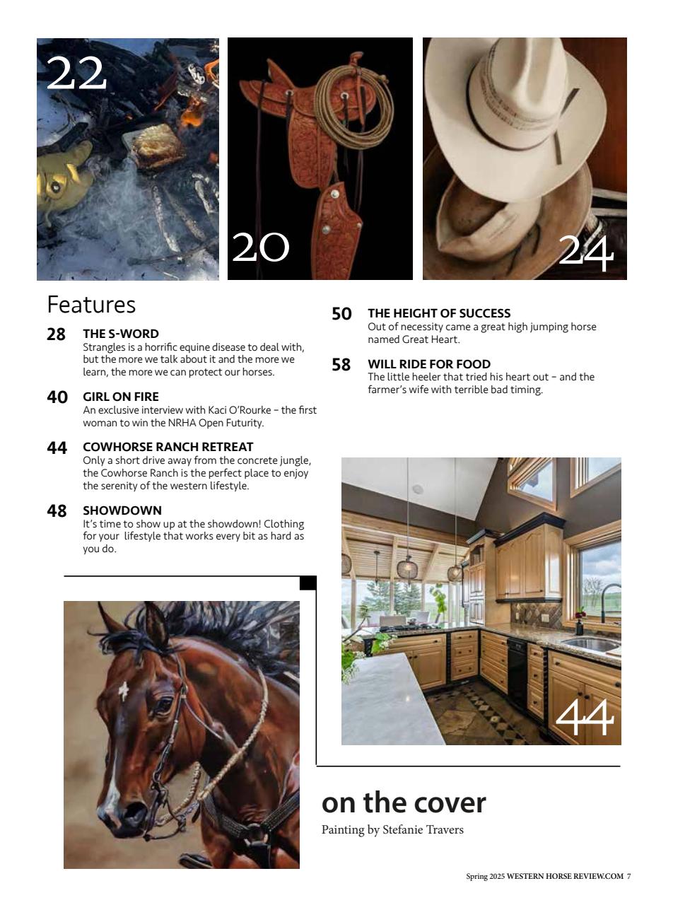 Western Horse Review Preview Pages