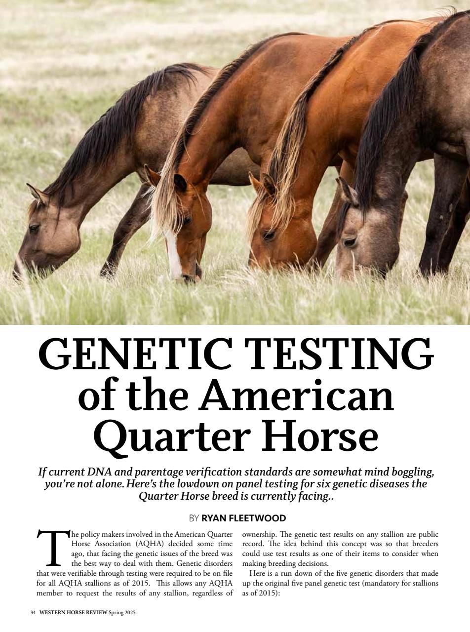 Western Horse Review Preview Pages