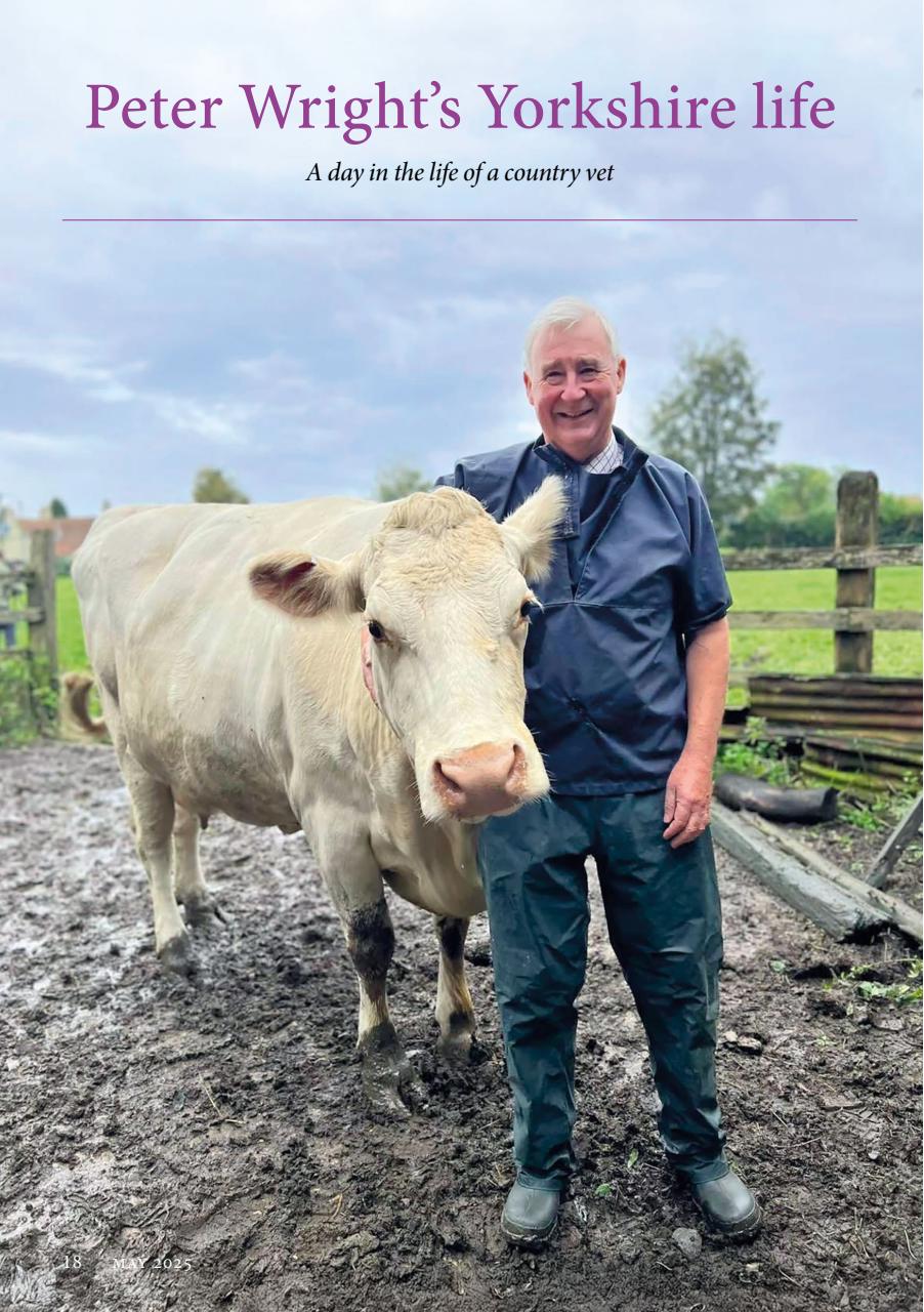 The Yorkshire Dalesman Preview Pages