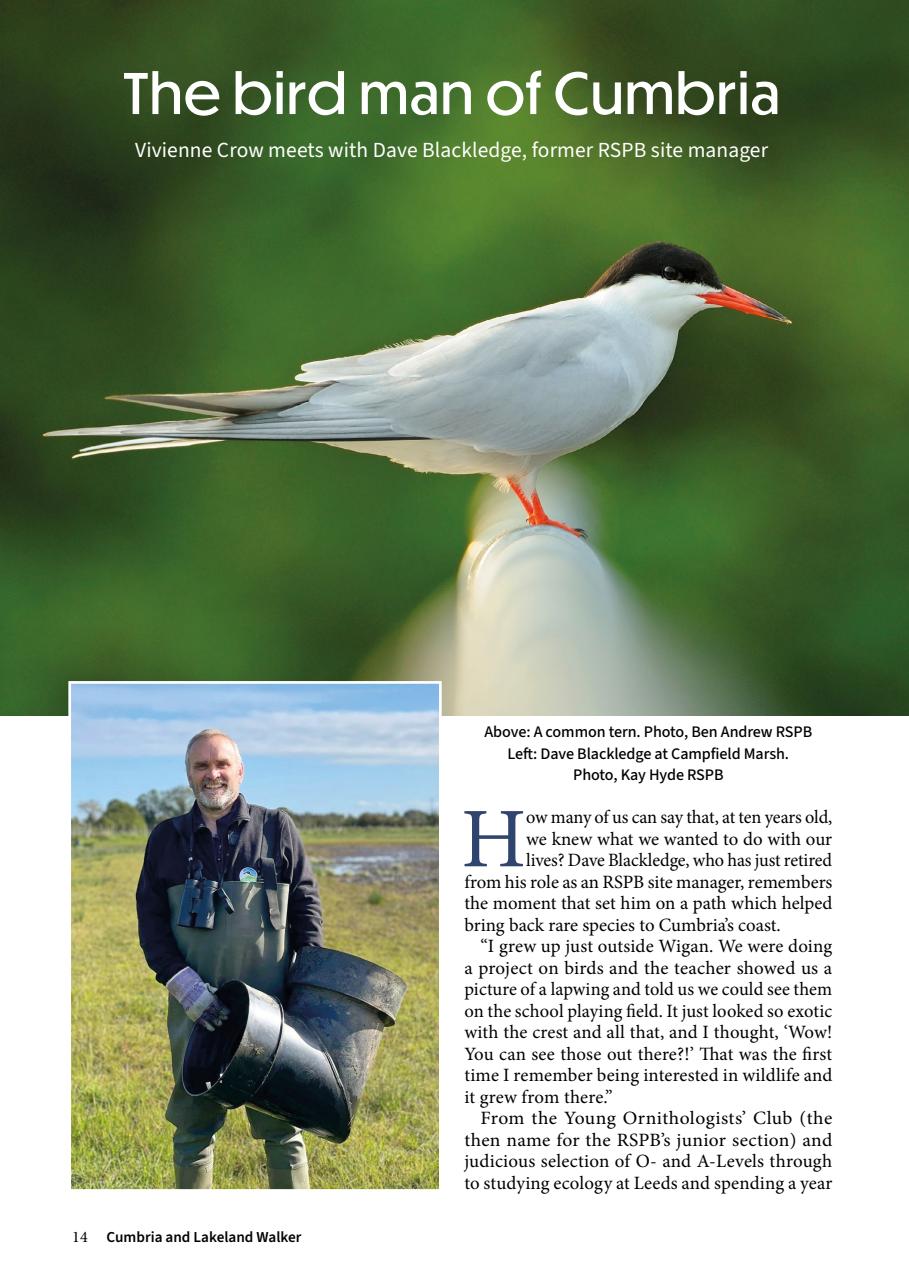 Cumbria and Lakeland Walker Preview Pages