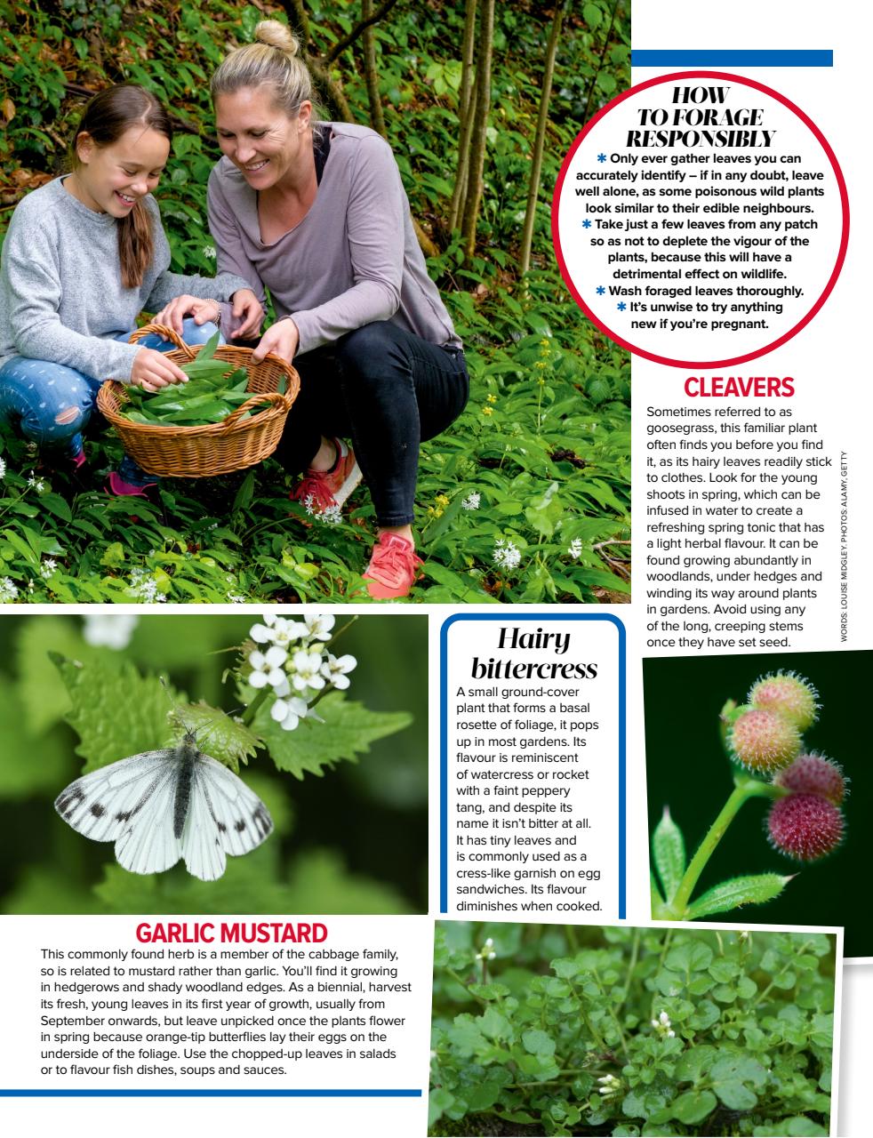 Woman's Weekly Preview Pages