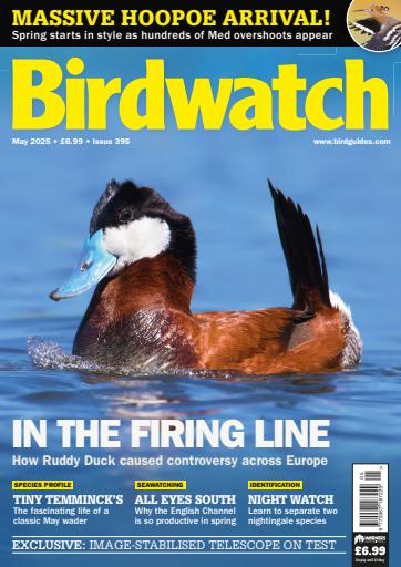 Birdwatch Magazine issue 