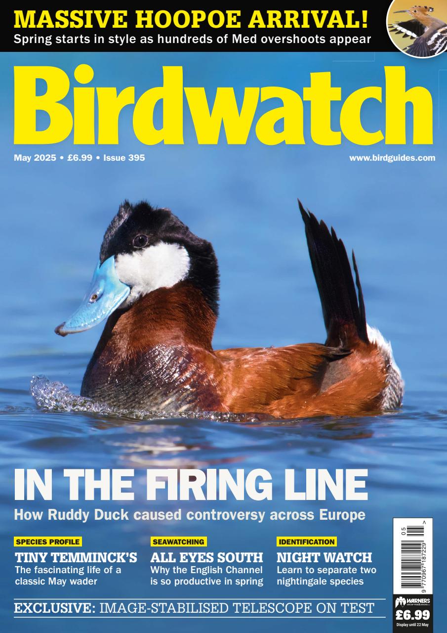 Birdwatch Magazine Preview Pages