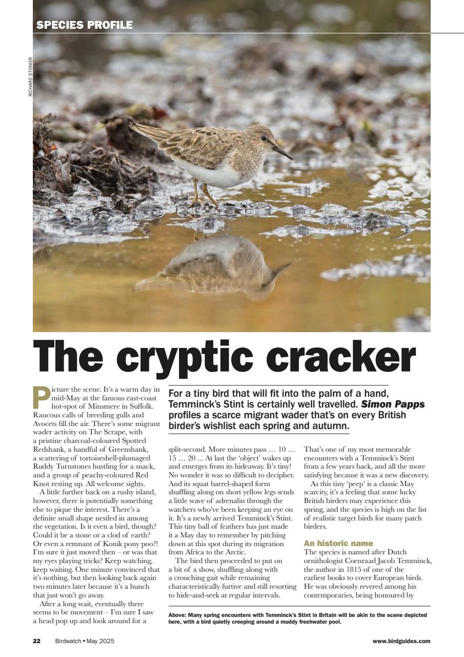 Birdwatch Magazine Preview Pages