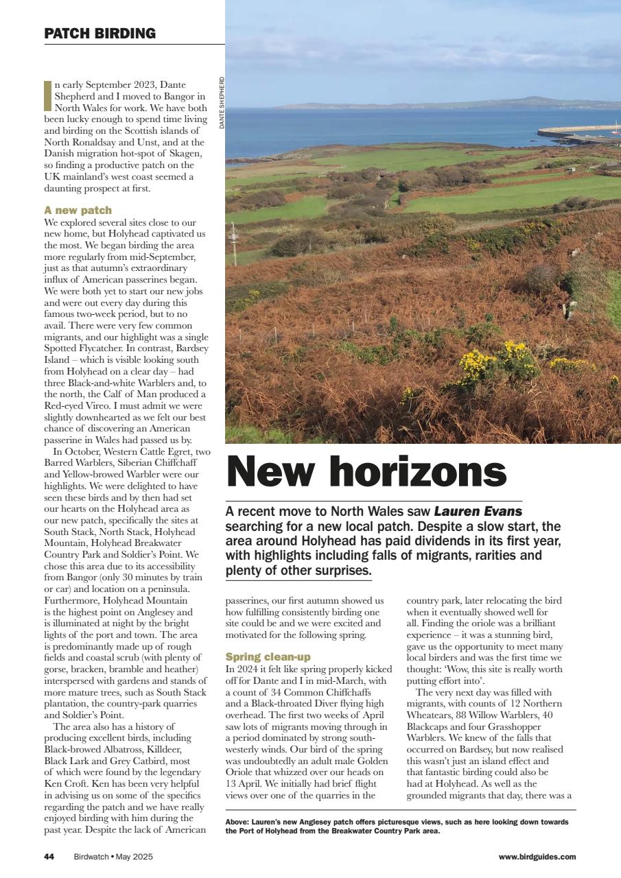 Birdwatch Magazine Preview Pages