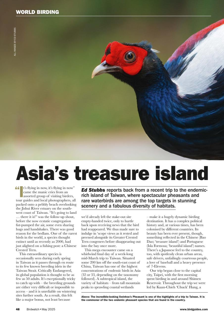 Birdwatch Magazine Preview Pages