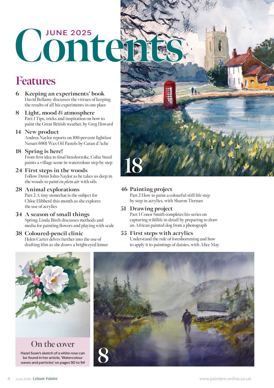 Leisure Painter & The Artist Preview Pages