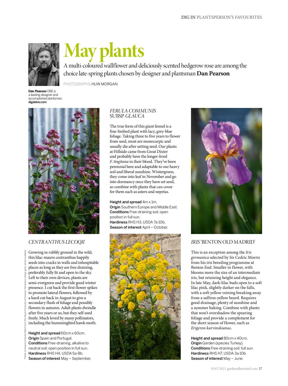 Gardens Illustrated Preview Pages