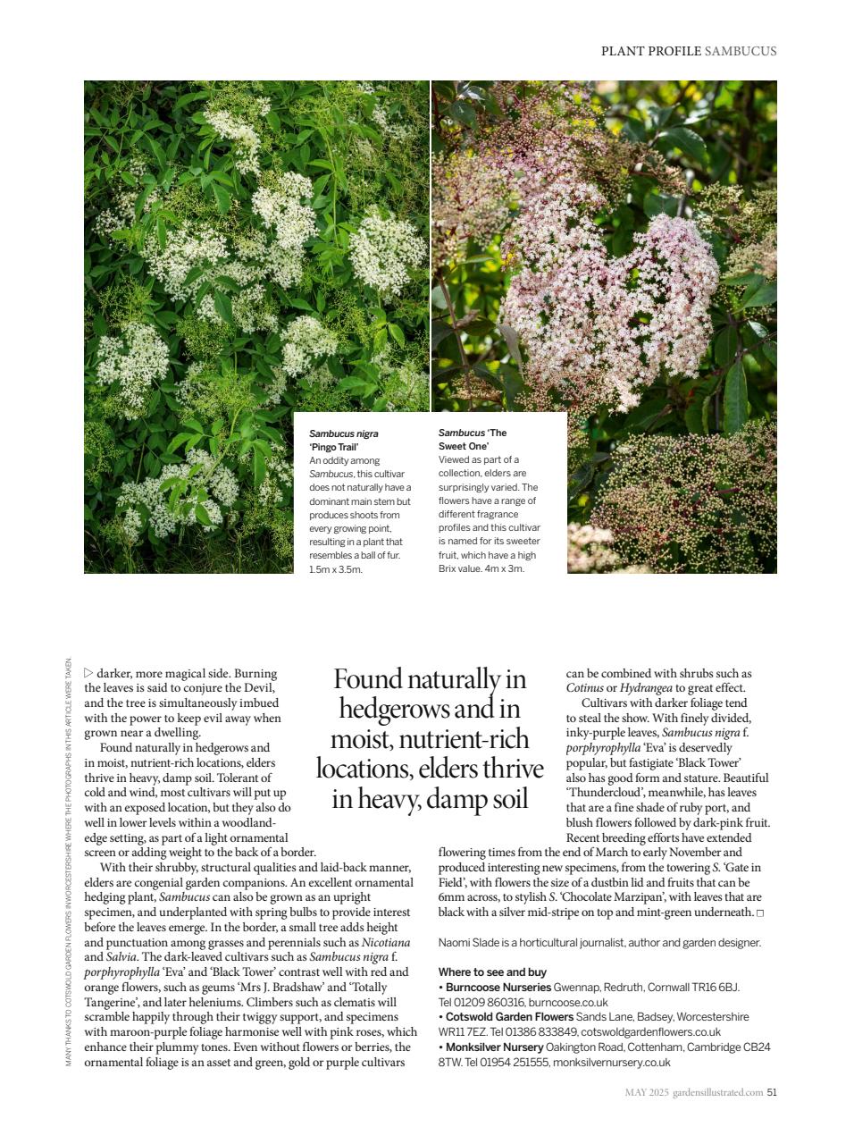 Gardens Illustrated Preview Pages