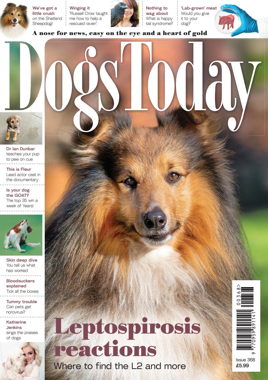 Dogs Today Magazine Preview Pages
