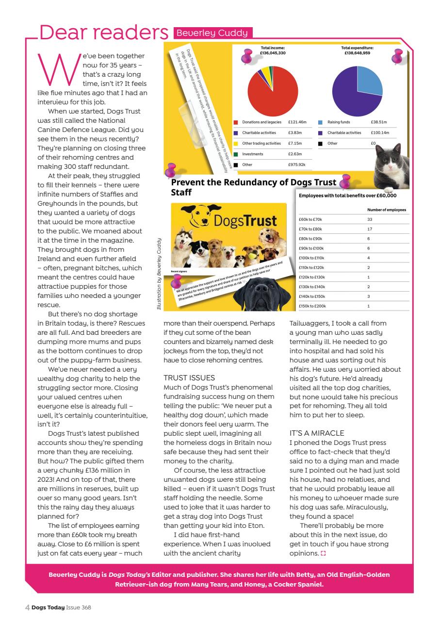 Dogs Today Magazine Preview Pages