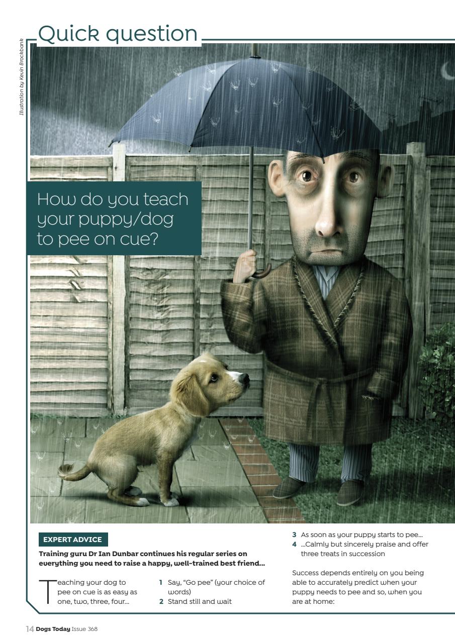 Dogs Today Magazine Preview Pages