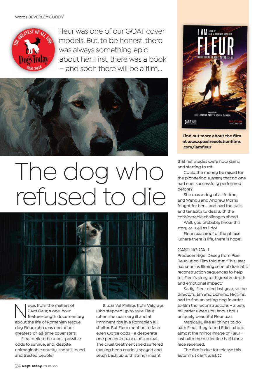 Dogs Today Magazine Preview Pages