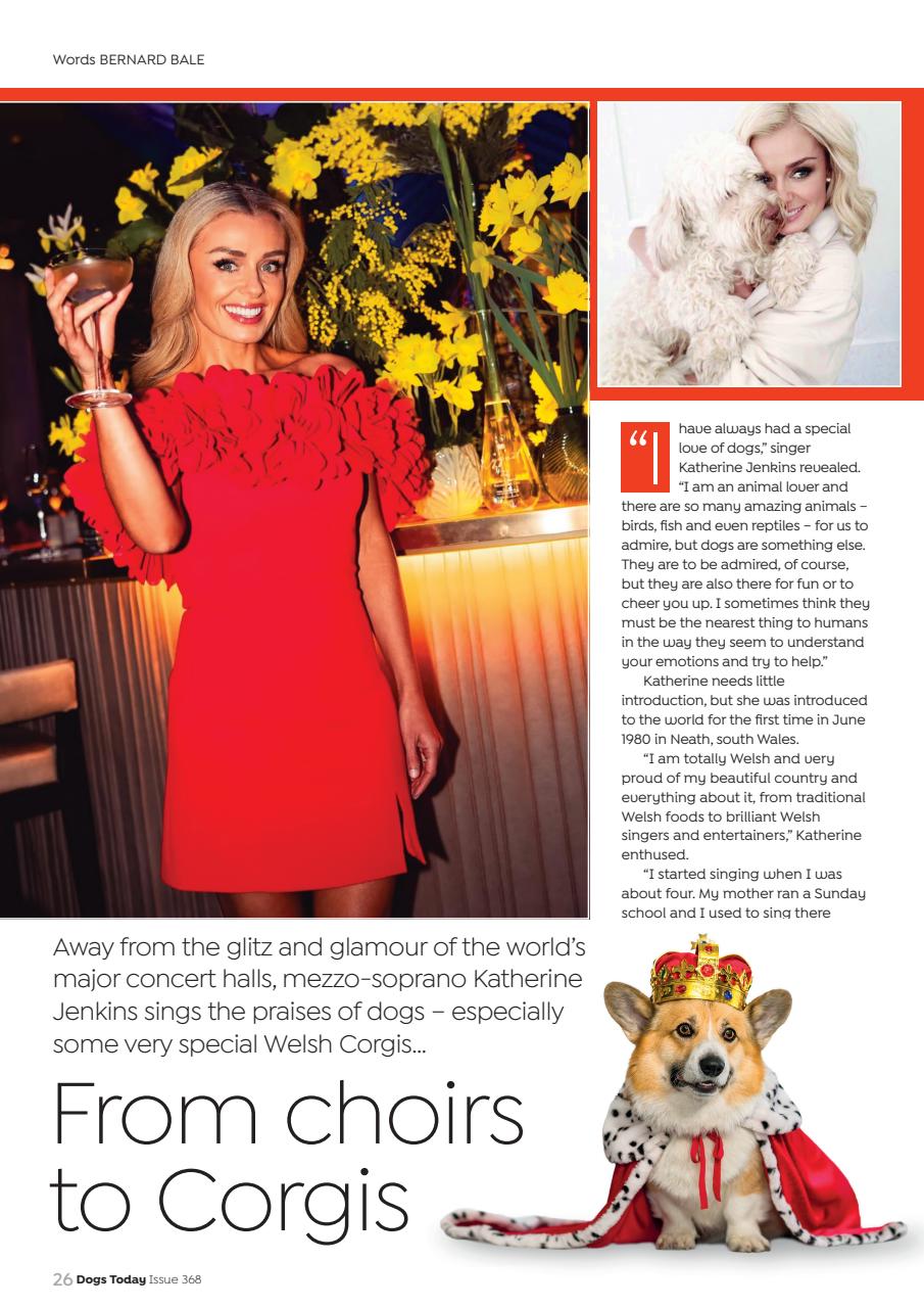 Dogs Today Magazine Preview Pages