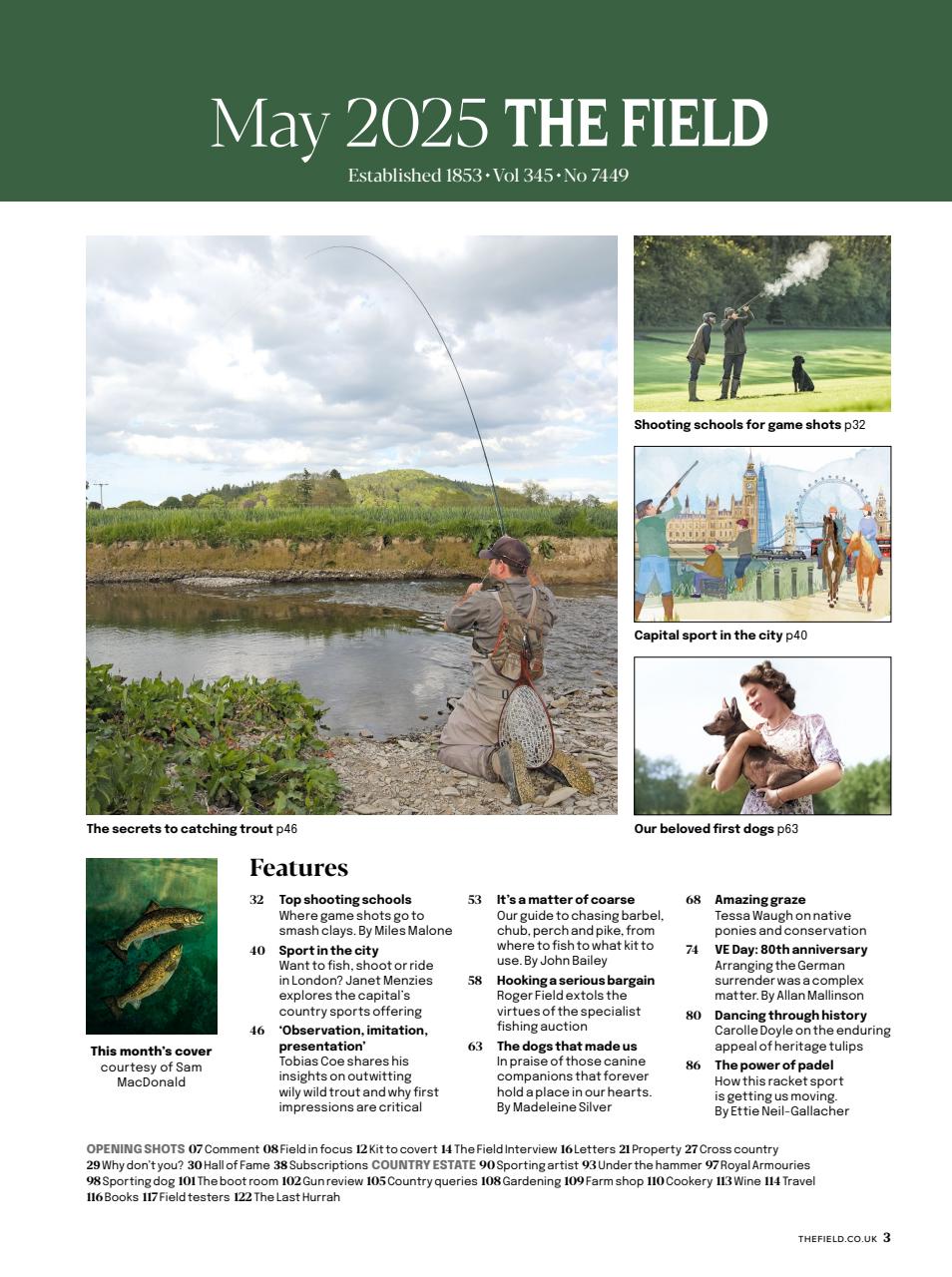 The Field Preview Pages